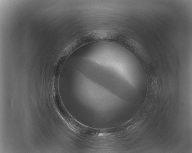 X0000060570590200511071021