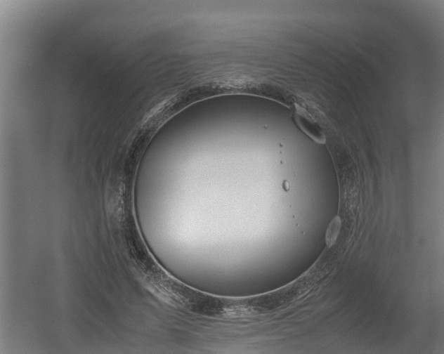 X0000060570591200511071021