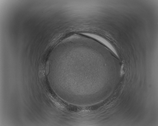 X0000060570593200511071021