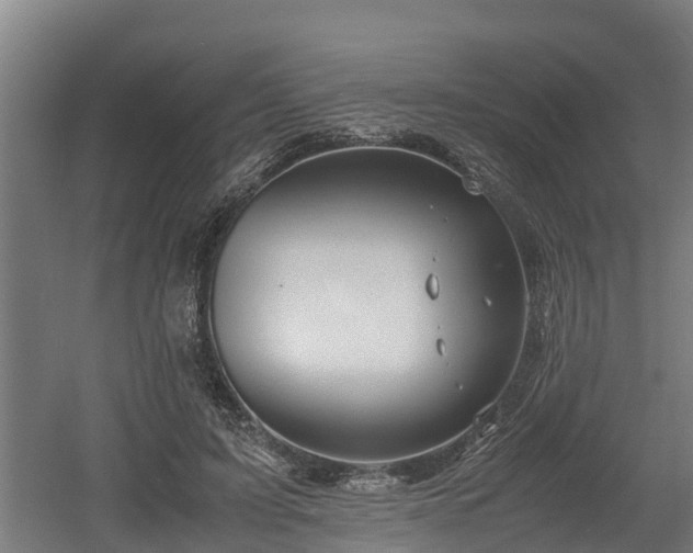 X0000060570595200511071021