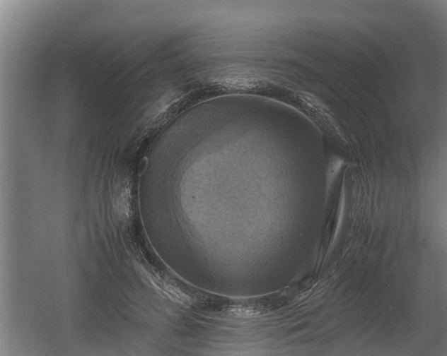 X0000060570596200511071021