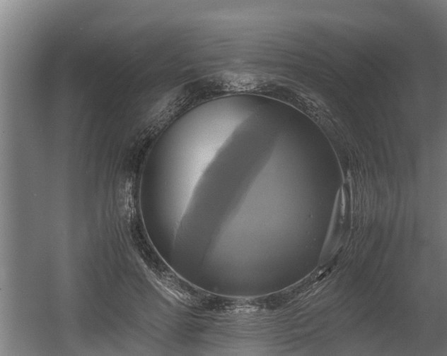 X0000060570598200511071021