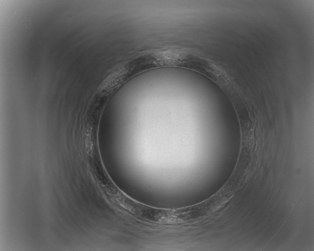 X0000060570599200511071021