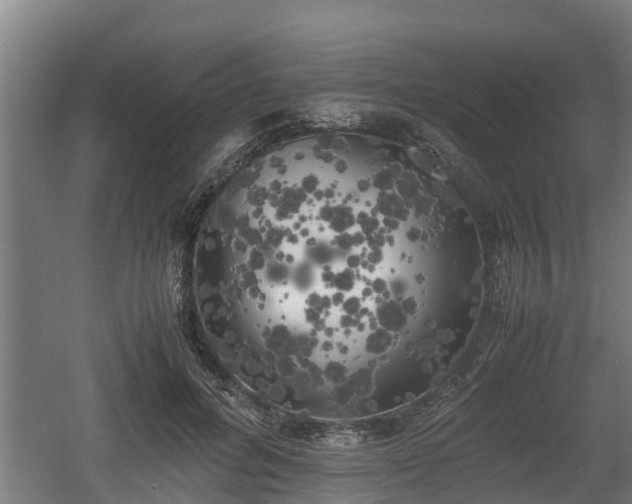 X0000060570600200511071021