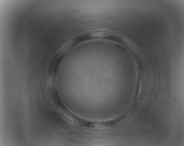 X0000060570601200511071021