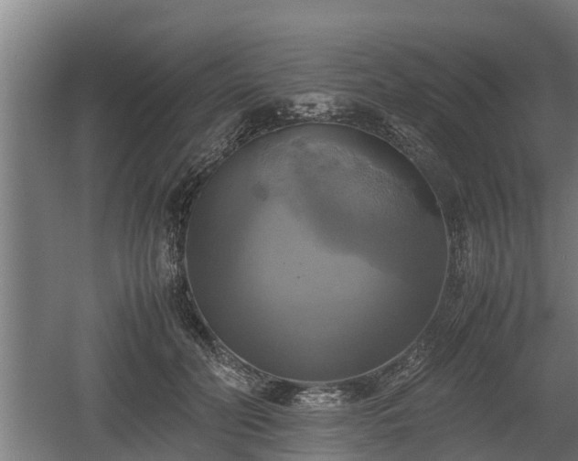 X0000060570606200511071021