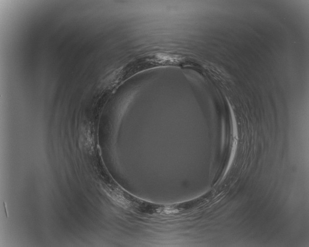 X0000060570607200511071021