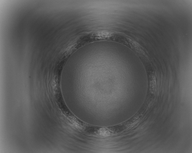 X0000060570608200511071021