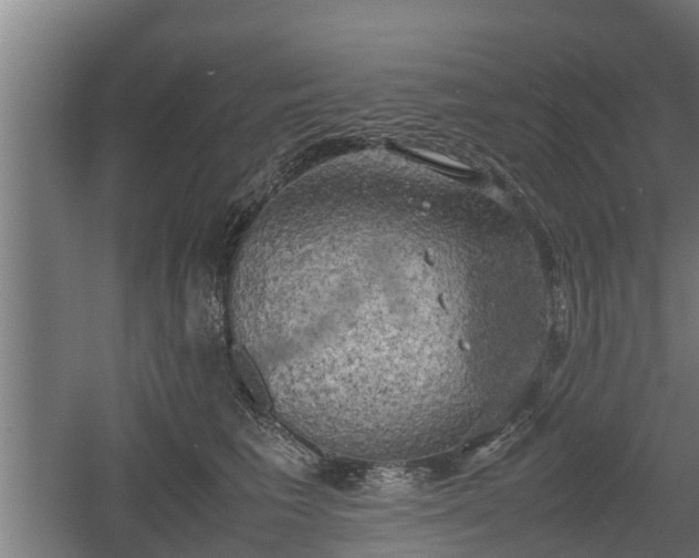 X0000060570613200511071021