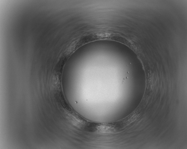 X0000060570614200511071021