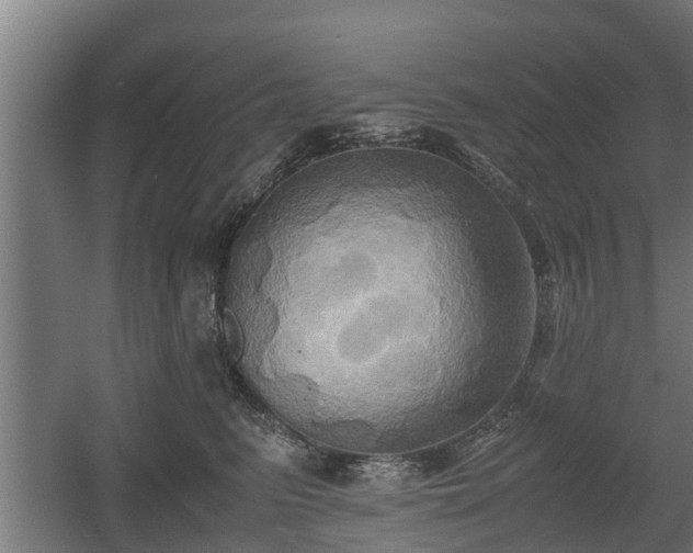 X0000060570615200511071021