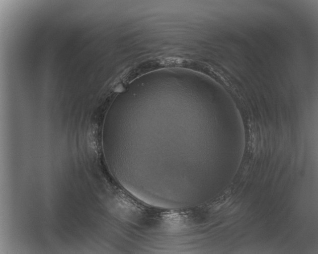 X0000060570616200511071021