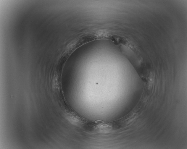 X0000060570619200511071021