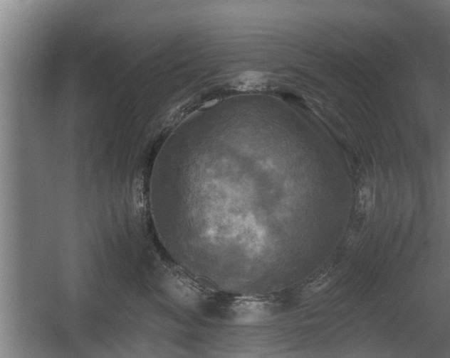 X0000060570620200511071021