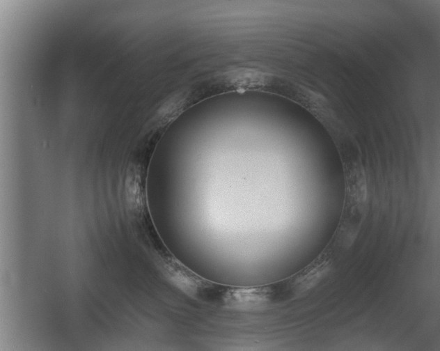 X0000060570622200511071021