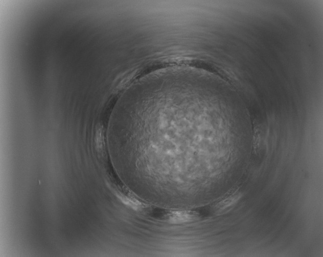 X0000060570623200511071021