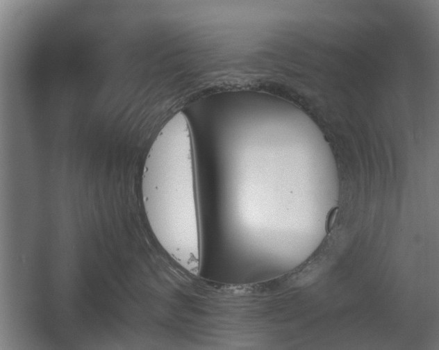 X0000060570624200511071021