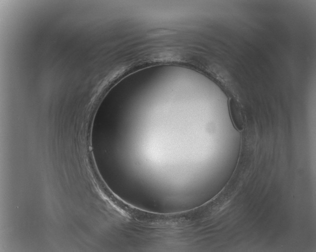 X0000060570625200511071020