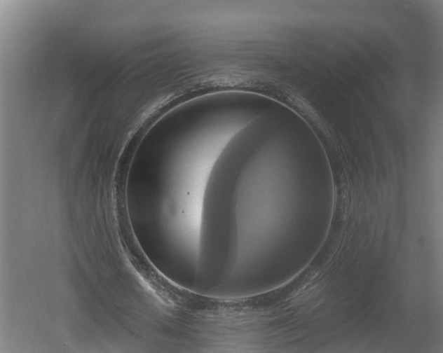 X0000060570626200511071020