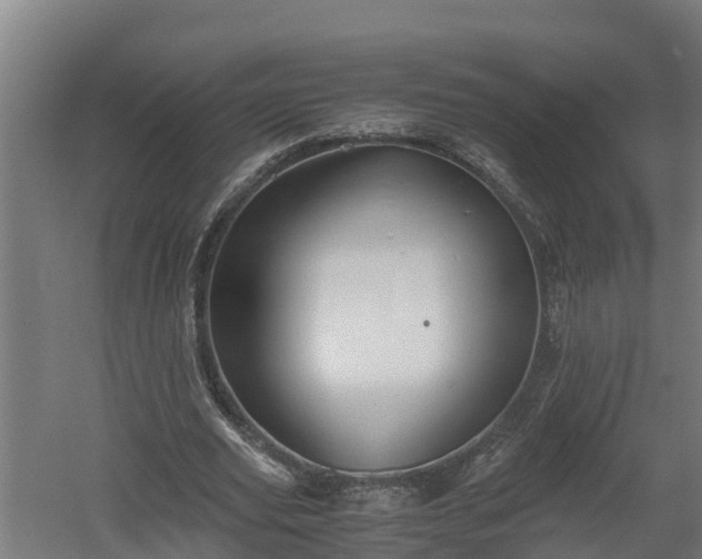 X0000060570629200511071020