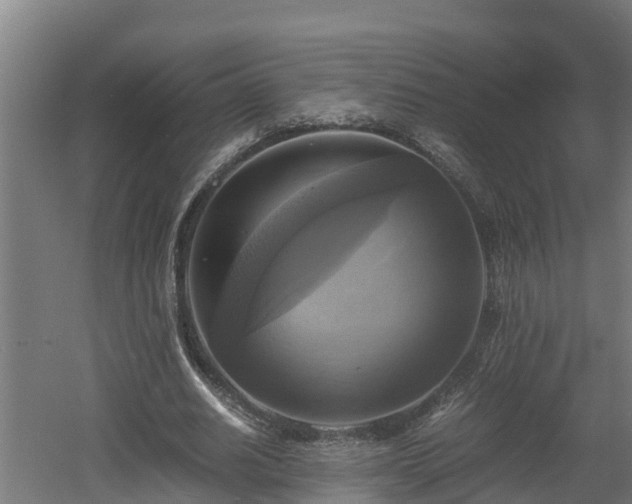 X0000060570630200511071020