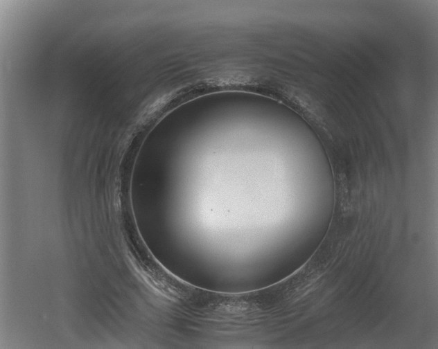 X0000060570631200511071020