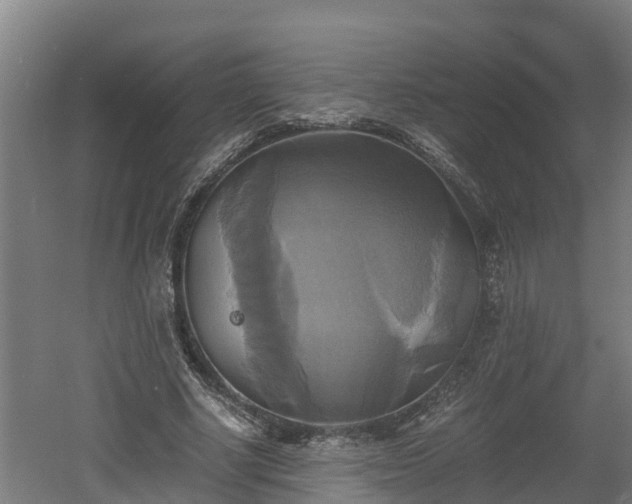 X0000060570634200511071020