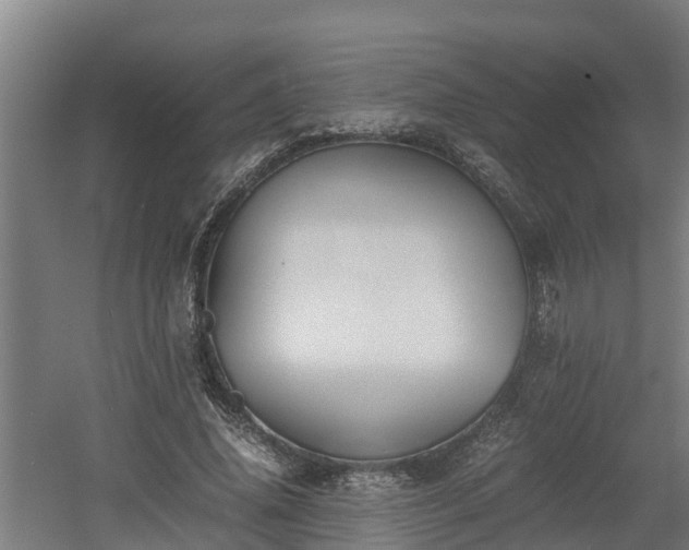 X0000060570636200511071020