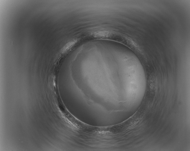 X0000060570637200511071020