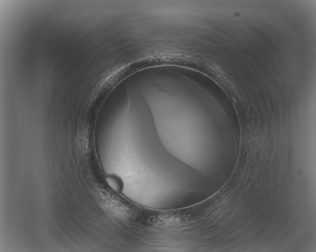 X0000060570640200511071020