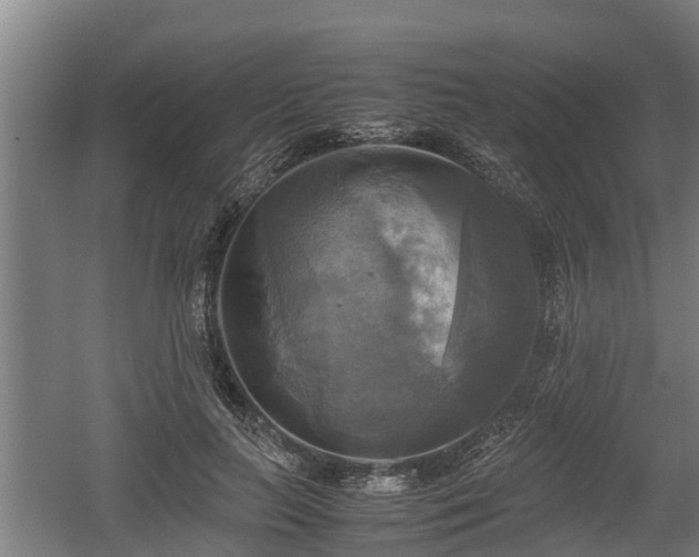 X0000060570647200511071020