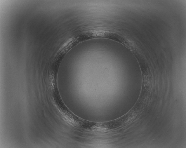 X0000060570648200511071020