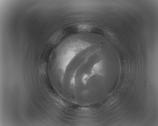 X0000060570649200511071020