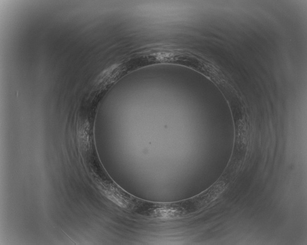 X0000060570650200511071020