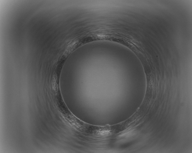 X0000060570651200511071020