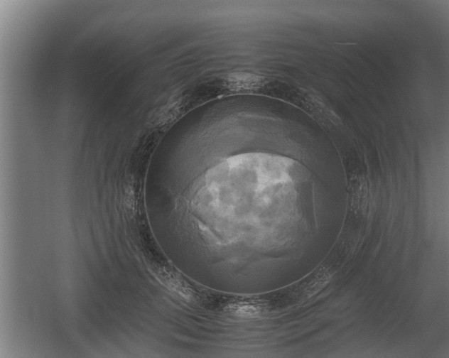 X0000060570655200511071020