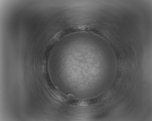 X0000060570656200511071020