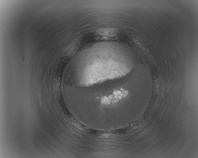 X0000060570657200511071020