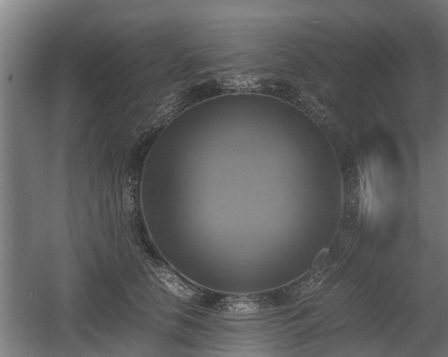 X0000060570658200511071020