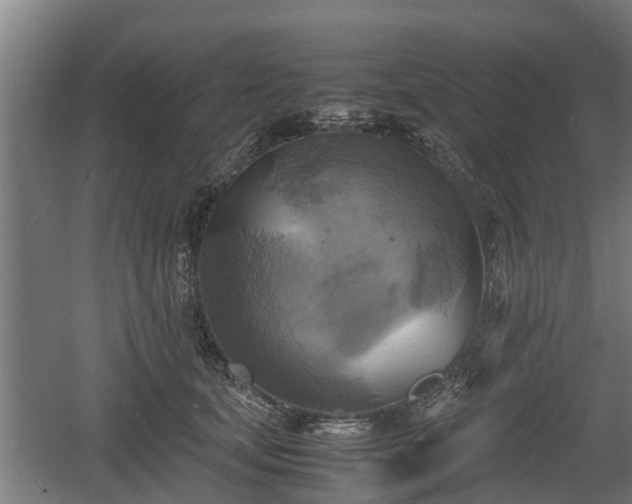 X0000060570659200511071020