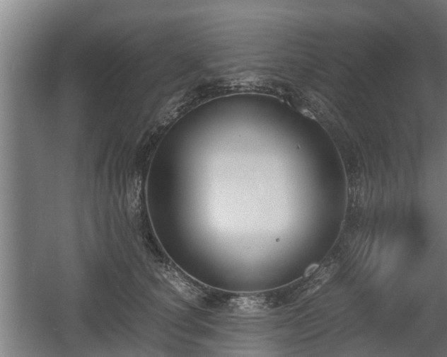 X0000060570660200511071020