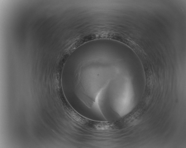 X0000060570661200511071020