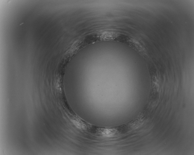 X0000060570663200511071020