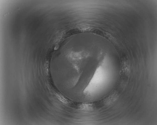 X0000060570664200511071020