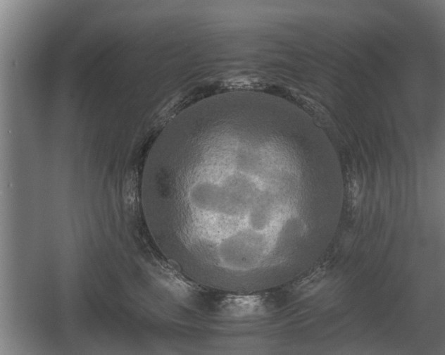 X0000060570665200511071020