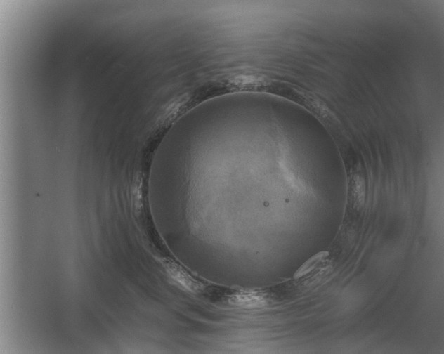 X0000060570668200511071021