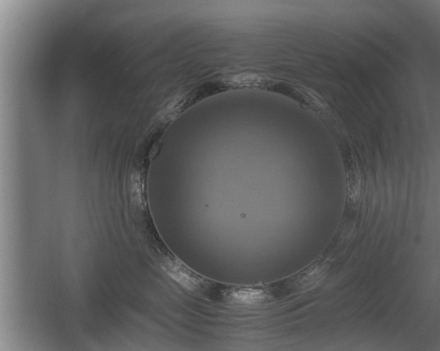 X0000060570669200511071021