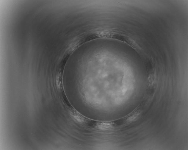 X0000060570671200511071021