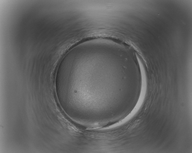 X0000060570673200511071020