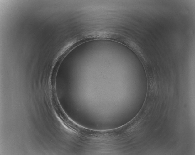 X0000060570674200511071020